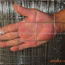 供应镀锌电焊网不锈钢电焊网电焊网