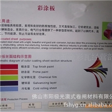 家电白，新宇白