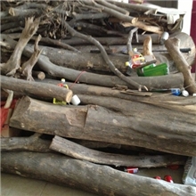 供应大直径野生沉香木、沉香木、沉香原木批发、沉香批发