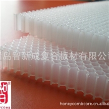 PC蜂窝骨架用于过滤器芯直径6mm/3.5mm可选