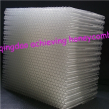 《供应》导流(水流气流)/导光PC蜂窝板pc板优质窝阳光板
