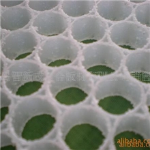 特价促销过滤器用塑料蜂窝板材(图)质量保证价格优惠