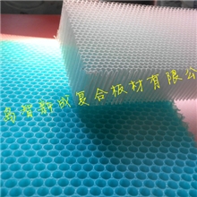 导流（水流气流）/导光PC蜂窝板PC板