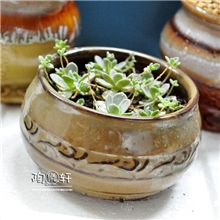 厂家批发出口韩国陶罐迷你花钵韩式风陶瓷花盆