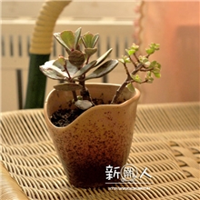 厂家直销优质供应奇特荷叶口迷你外贸陶瓷花盆自身带孔