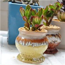 韩式迷你多肉陶瓷花盆