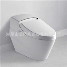 美隆洁具MA-883智能马桶