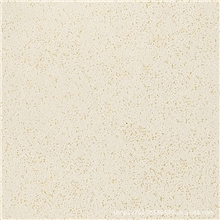 供应300*300小规格小地砖