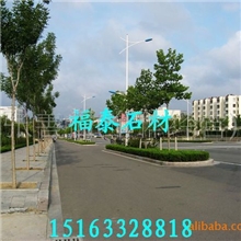 供应优质山东五莲花路牙石，五莲花路边石