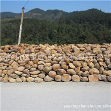 大量供应优质黄腊石（30-80CM）太湖石英石