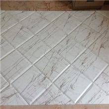 大理石金蜘蛛SpiderGoldenMarble