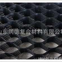 山东润德厂家直销土工格室50-400，欢迎莅临指导考察