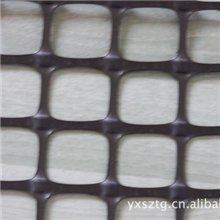 双向拉伸土工格栅