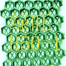 绿旺DGLW植草格、植草格厂家DGLW-H2025