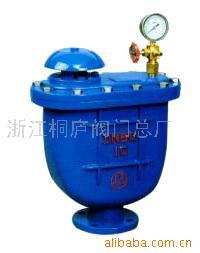 供应CARX复合式排气阀