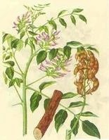 提取物植物提取物甘草提取物甘草酸甘草霜甘草酸单铵盐