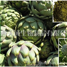 供应朝鲜蓟素洋蓟素厂价热销