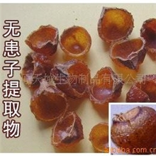供应无患子提取物无患子皂甙厂价热销