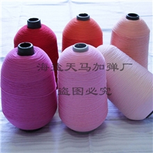 大量供应特优专业生产100D/2锦纶高弹丝有色筒子纱