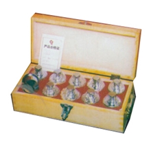 【天津精科】专业生产QNF玻璃实验室仪器