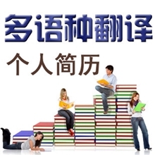 提供专业多种语言翻译翻译服务琳乐迪个人简历翻译专业翻译