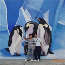 承接海洋景观、别墅景观、广场景观设计施工