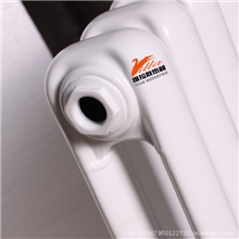 暖气片维拉散热器鸟巢特供钢制暖气片暖气片散热器