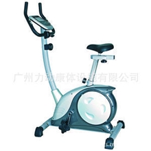 厂家直销供应力动RIDO家用立式健身车