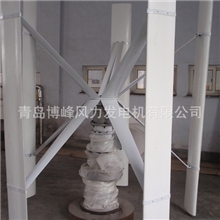 500w小型垂直轴风机