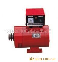 供应3KW皮带传动无刷发电机[铜线]