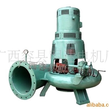 供应12KW有压轴流式水轮发电机组(图)