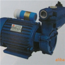 供应发电机发电机组DBZ型清水单相吸高压泵厂家直销