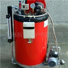 供应小型燃油蒸汽锅炉、立式小型蒸汽锅炉