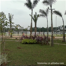 供应30-160WLED风光互补路灯