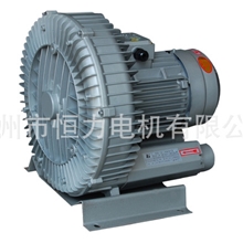 专业设计生产销售旋涡气泵