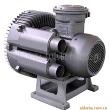 厂家直销防爆型旋涡气泵