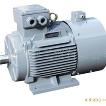 安阳YZP冶金变频电机YZP/YZPE/YZPSEJ160L-4