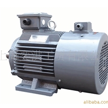 Y2普通电机Y(Y2\Y3)90S-6