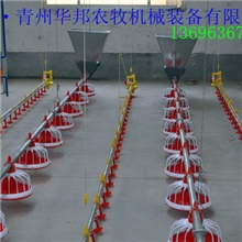 养鸡设备全自动肉鸡养殖设备首选青州华邦信誉第一