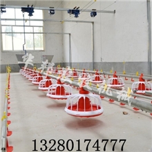 【厂家热销】肉鸡料线肉鸡平养设备养鸡设备华邦农牧