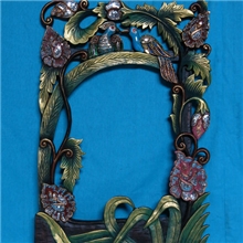 泰国蓝鹦鹉镜框