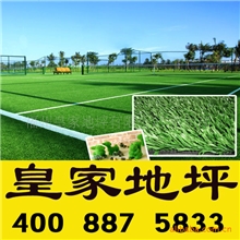 皇家国际品牌【人造草/人造草坪】透水性好|不积水|足球场地首选