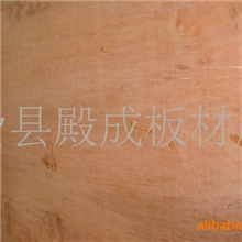 临沂胶合板供应各种多层板(图)胶合板临沂多层板包装板