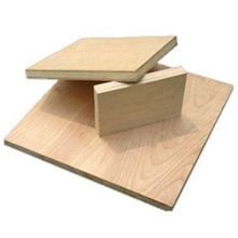 山东临沂森远木业专业板材厂家实木板材桦木板材