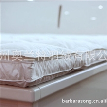 厂家生产学生宿舍羽绒床垫床褥批发