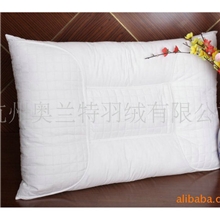 厂家热销白色长方形枕芯、保健枕羽绒枕