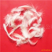 厂家直销2-4cm含绒量高羽毛羽绒