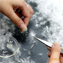 供应杭州水洗羽绒羽毛高品质白鹅绒