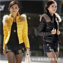 2013新品时尚韩版冬女装羽绒棉羽绒服女短款貉子毛时尚韩版冬棉衣