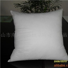 生产批发各种枕芯、装饰抱枕